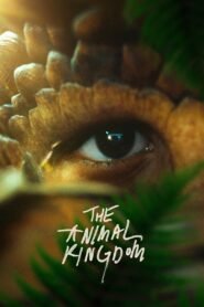 The Animal Kingdom – Doble Farsi