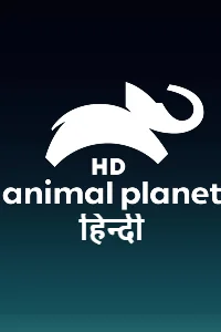 Animal Planet HD Hindi